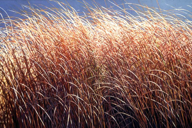 Splendor  35 x 54 inches, oil, 1993