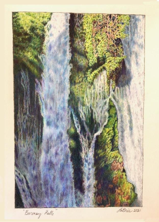 Burney Falls  colored pencil, 2021