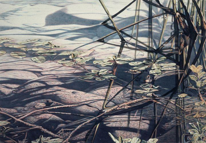 Spring Lake lI 17 x 25 inches, lithograph, 1988