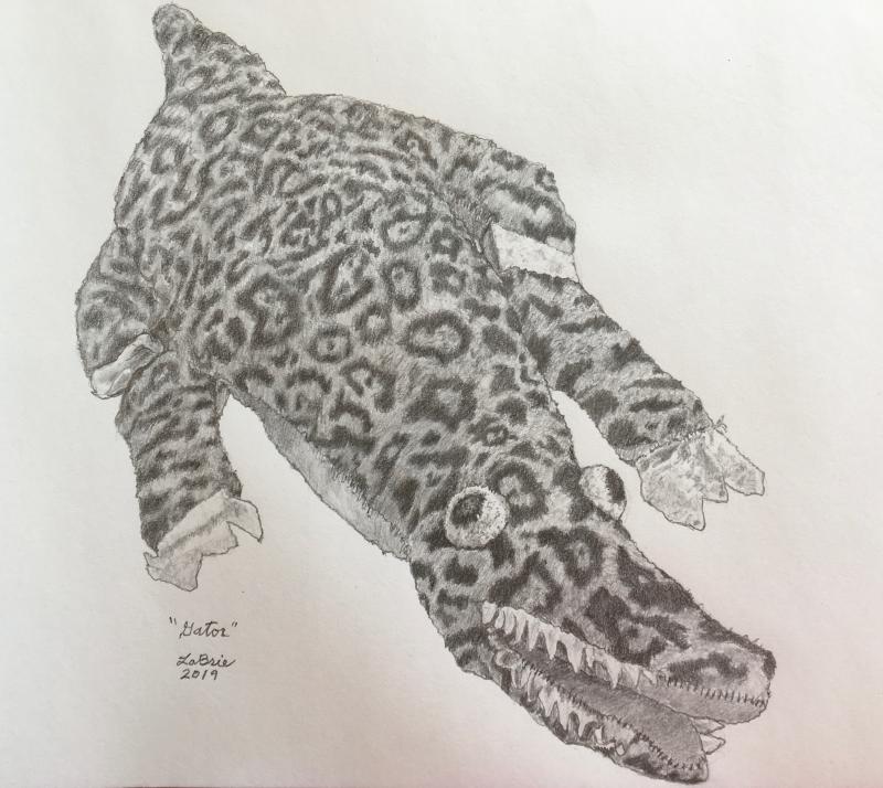 Gatorgraphite, 2019