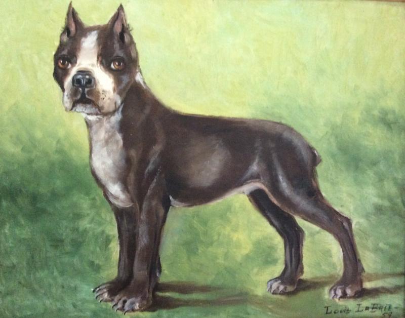 Goldie's Boston Terriercolored pencil, 1959