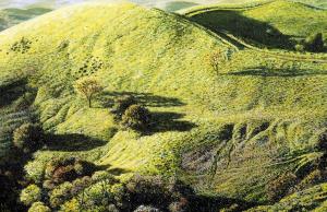 Morning Shadows, Mt. Diablo 4 x 6 inches, oil on board, 2003