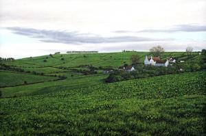 Tadwick ll, Towards the Sea 10.5 x 15 inches, oil on wood, 2002