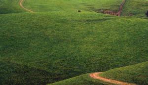 En Garde 8 x 13 inches, oil on wood, 1998