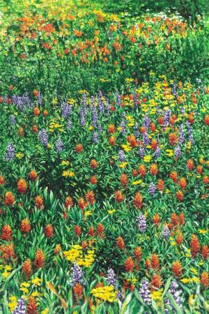 Altitude Attitude 36 x 24 inches, oil on canvas, 1996