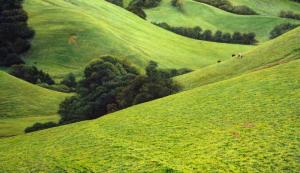 Briones 9 x 13 inches,  oil on board, 2013