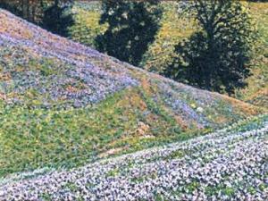 Plaskett Ridge 3 x 3.25 inches, oil on board, 20003