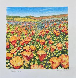 Carrizo Plaincolored pencil, 2025