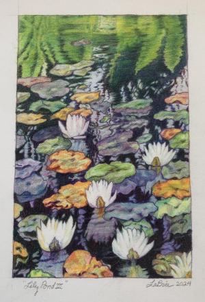 Lily Pond III  7 1/2 x  5 inches, colored pencil, 2024