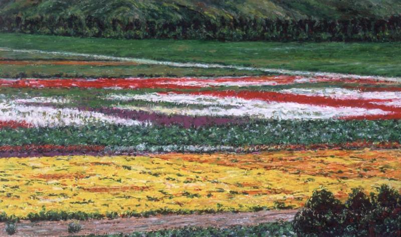 Near Lompoc 7 x 12 inches, oil pastel, 1994