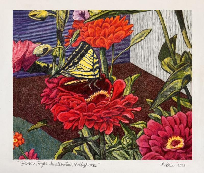 Zinnias, Tiger Swallowtail, Hollyhocks colored pencil, 2023