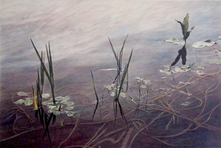 Spring Lake II 17 x 25 inches, lithograph, 1988      