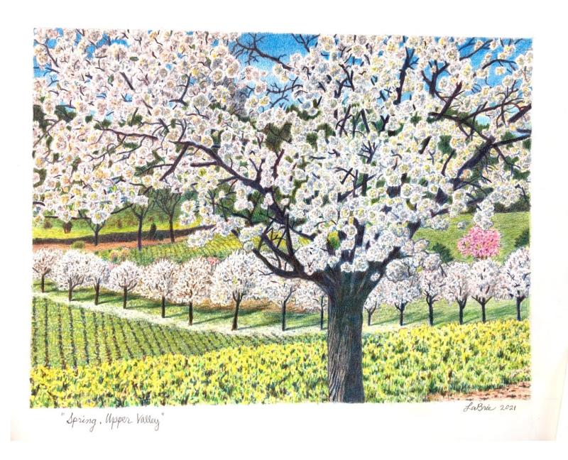 Spring, Upper Valley  colored pencil, 2021