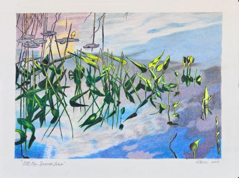 Still Life Beaver Lakecolored pencil, 2025