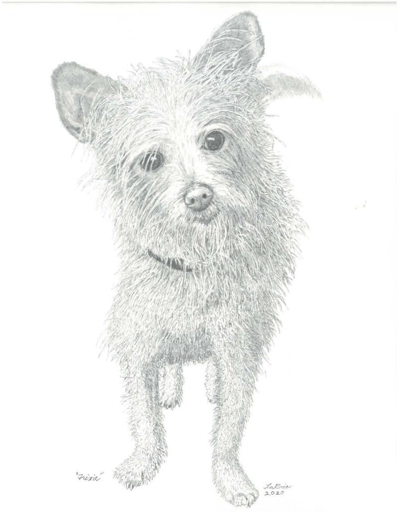 Trixie graphite, 2020