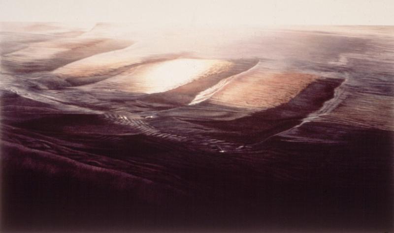 Ano Nuevo III 16  x 30 inches, colored pencil, 1986 