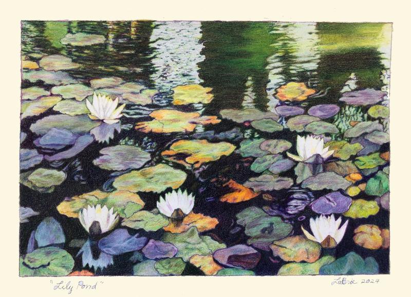 Lily Pond 6 7/8 x 10 inches, colored pencil, 2024