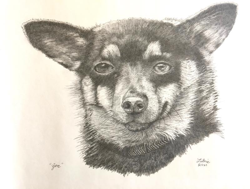 Zoegraphite, 2021